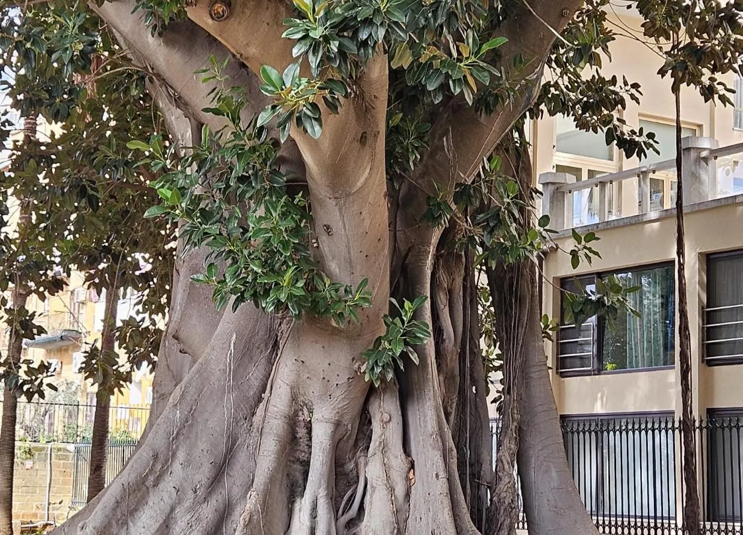 Apartmán All'Ombra Di Porta Nuova Palermo